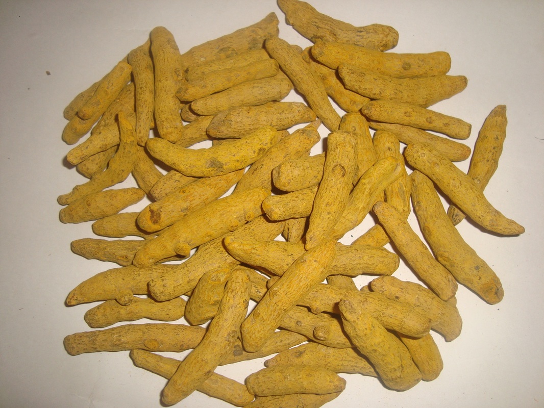 Turmeric Fingers Exporters Of Food Products And Commodities